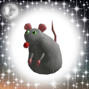 Meet your Posher, Natalia